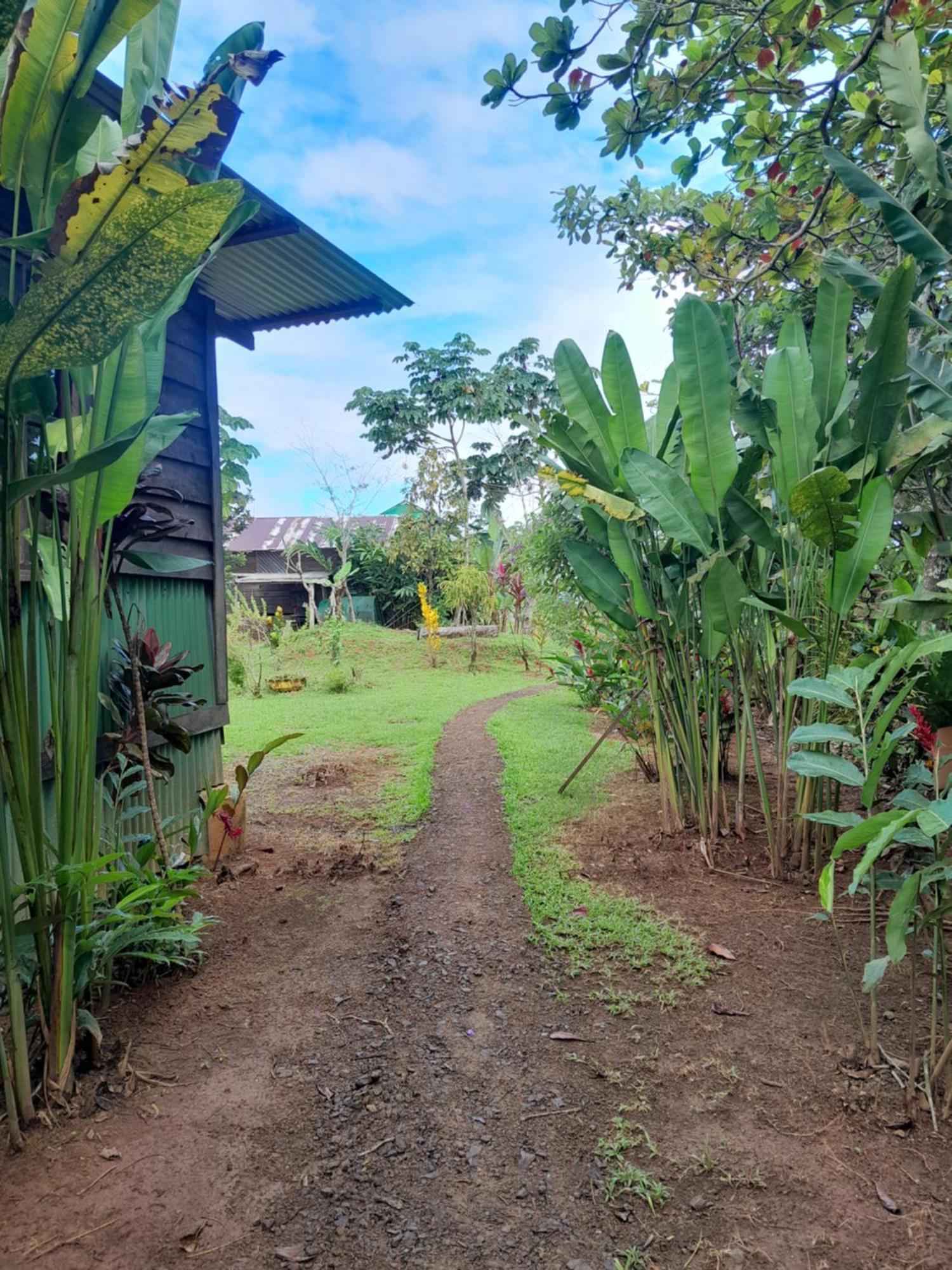 Finca La Puesta del Sol Miramar de Sierpe Habitación foto