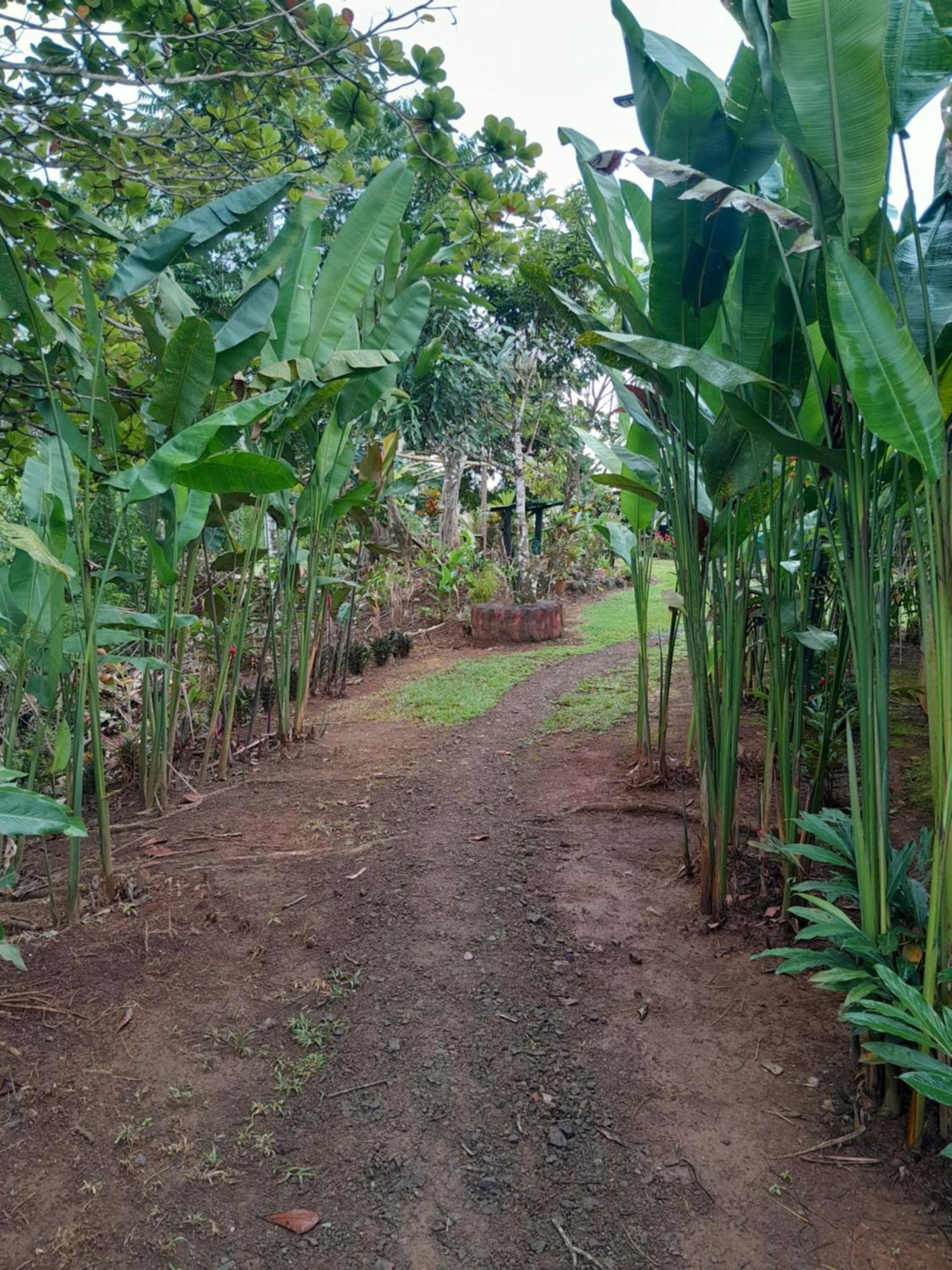 Finca La Puesta del Sol Miramar de Sierpe Habitación foto
