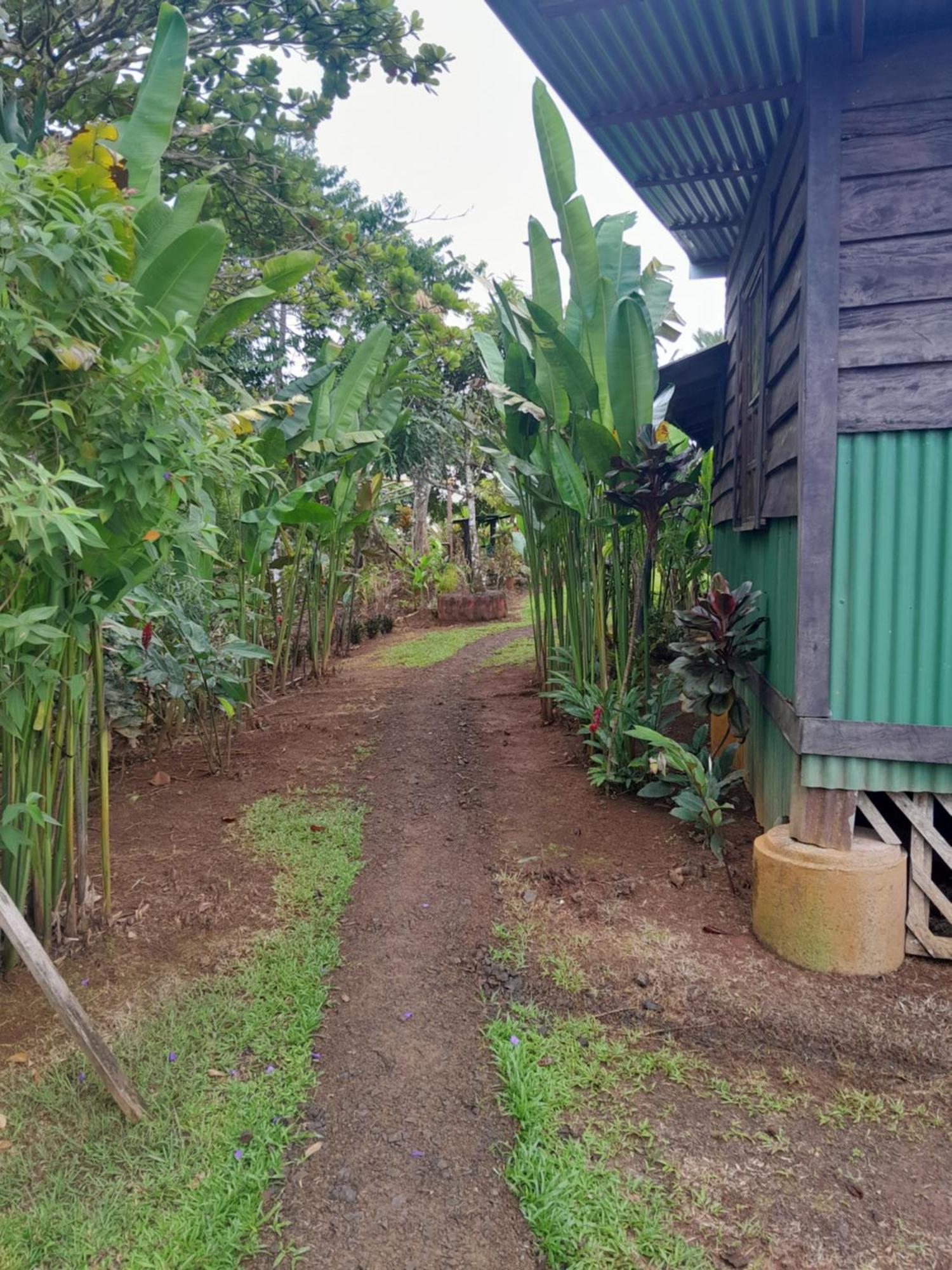 Finca La Puesta del Sol Miramar de Sierpe Habitación foto