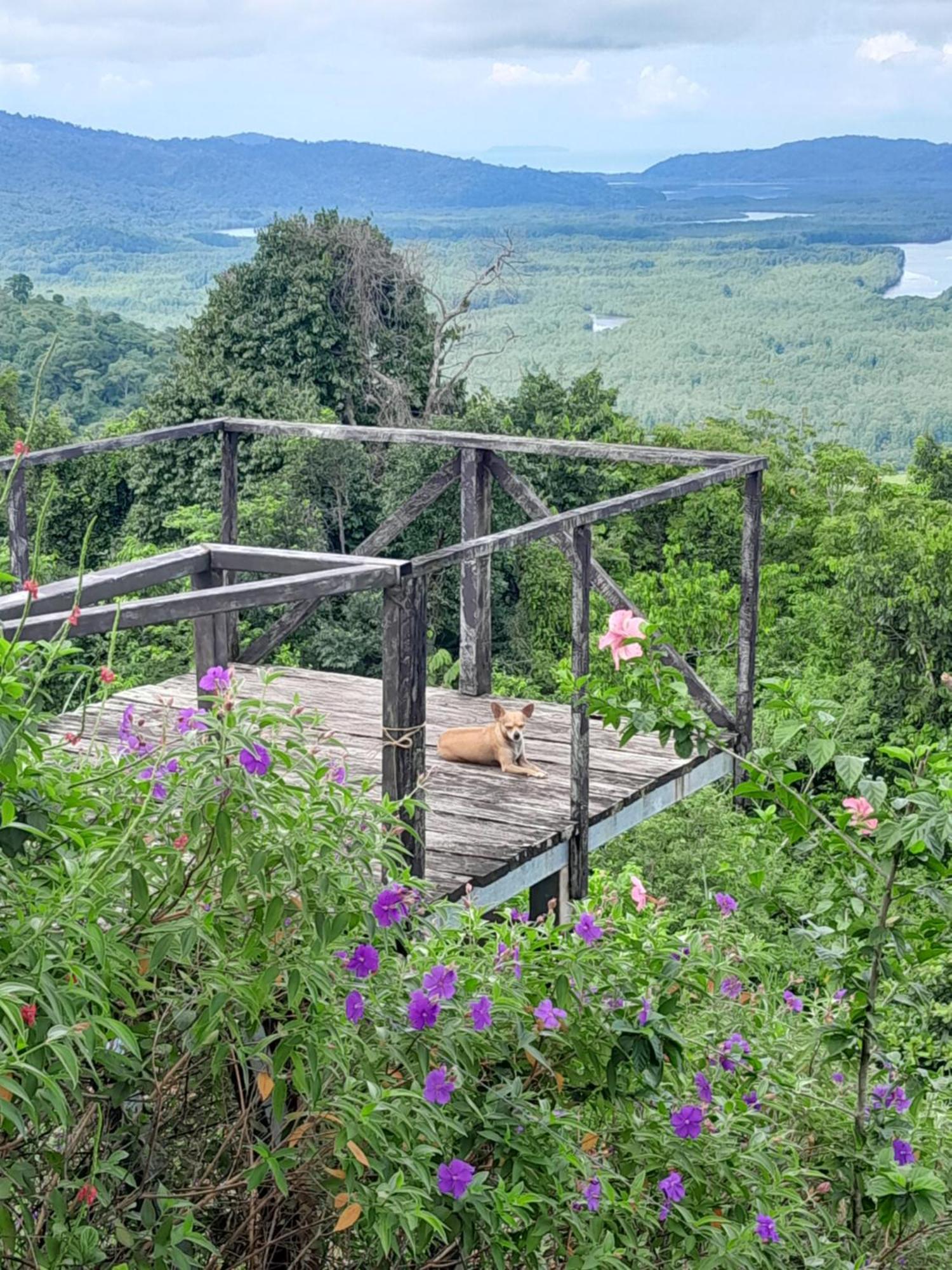 Finca La Puesta del Sol Miramar de Sierpe Habitación foto
