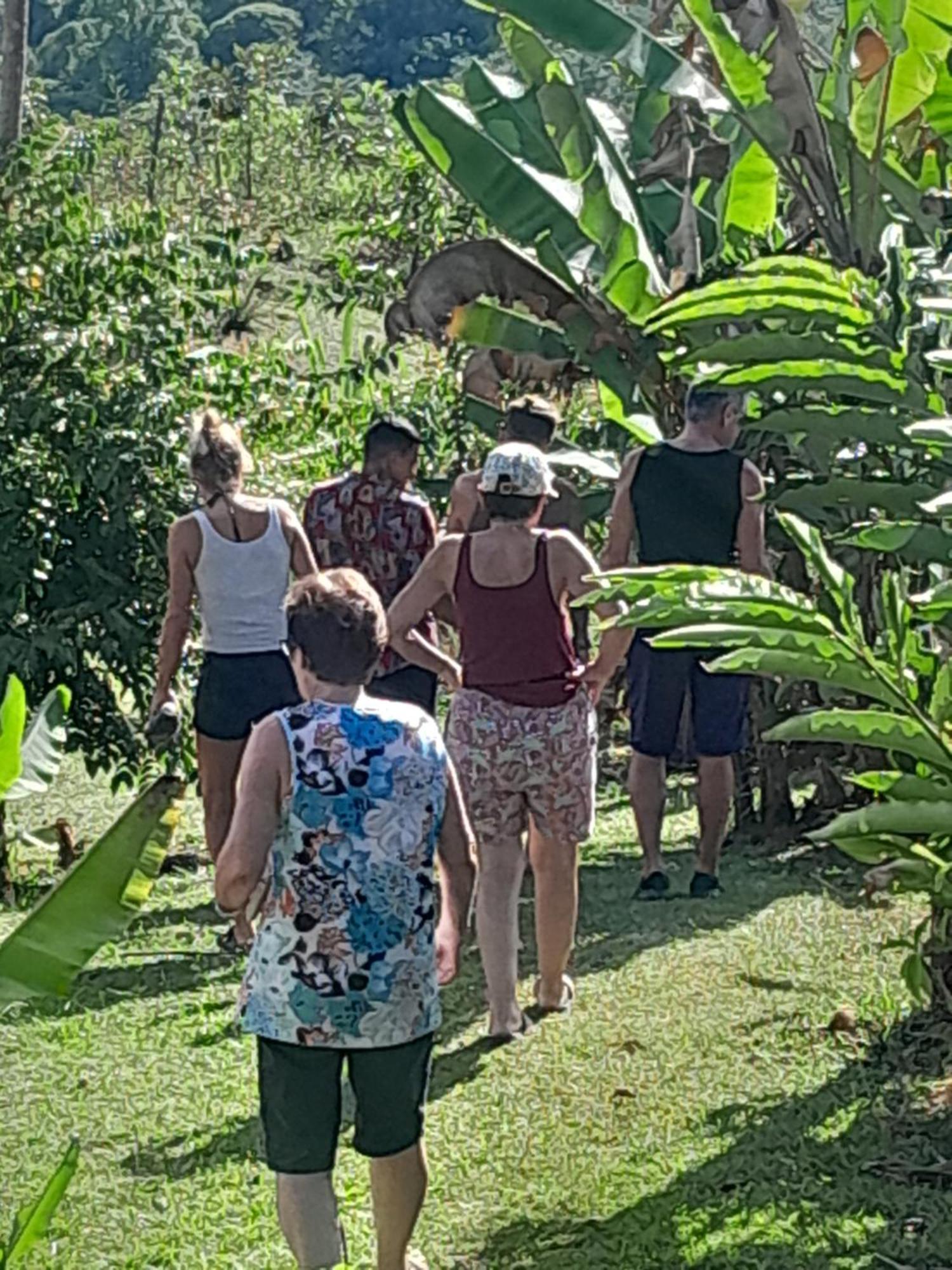 Finca La Puesta del Sol Miramar de Sierpe Exterior foto